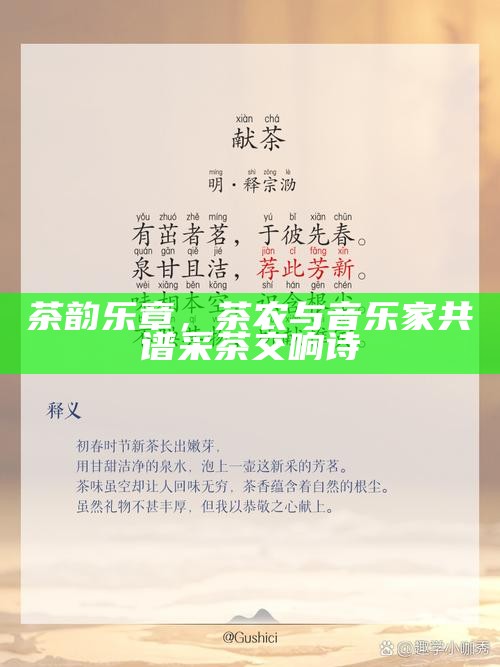 茶韵乐章，茶农与音乐家共谱采茶交响诗
