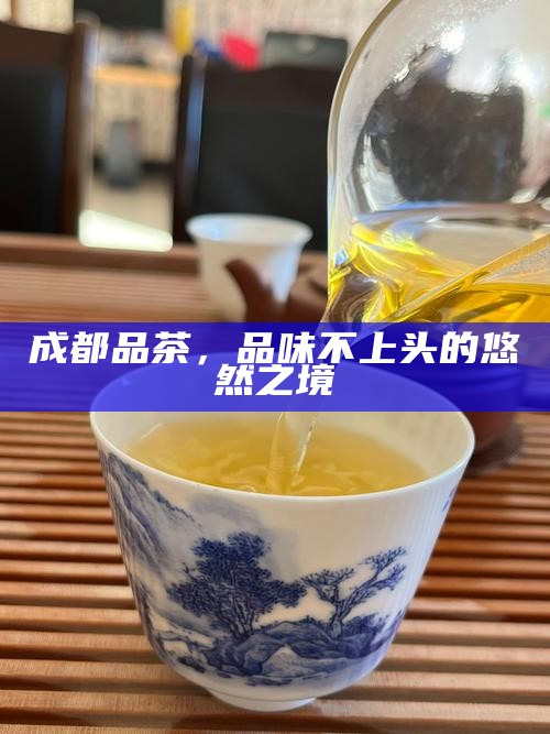 成都品茶，品味不上头的悠然之境